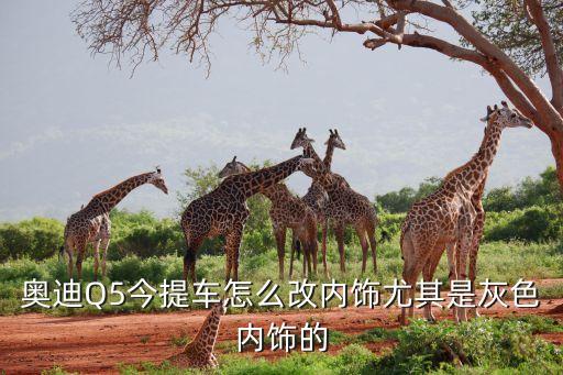如何把汽车改复古灰色内饰，如何改变汽车内饰颜色求高手解