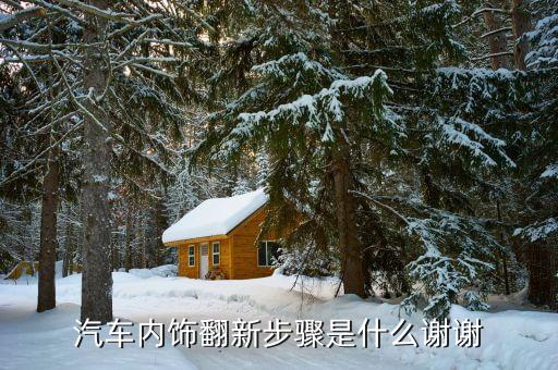 汽车内饰翻新步骤是什么谢谢