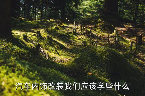 汽车内饰改装我们应该学些什么