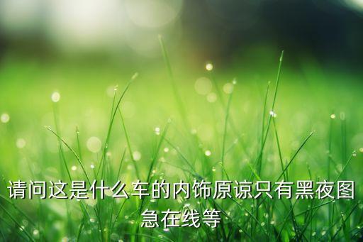 请问这是什么车的内饰原谅只有黑夜图急在线等