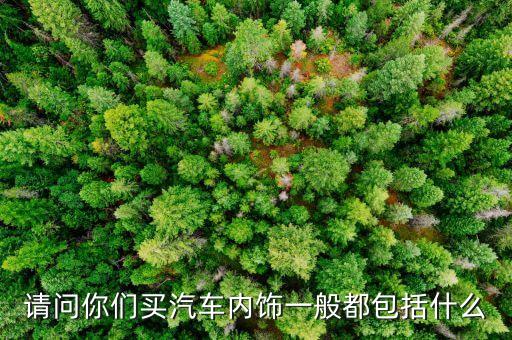 请问你们买汽车内饰一般都包括什么