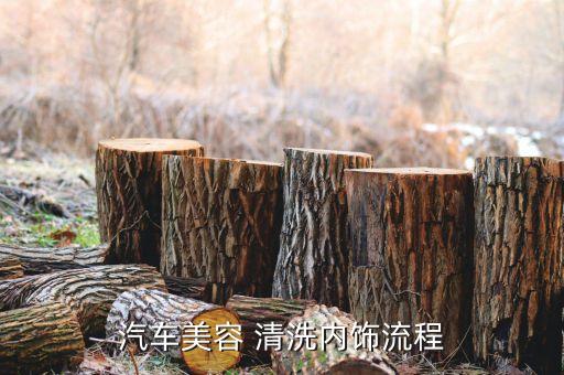 汽车美容 清洗内饰流程