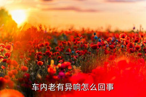车内老有异响怎么回事