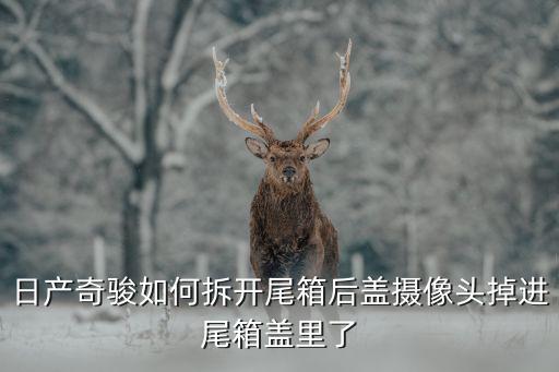 日产奇骏如何拆开尾箱后盖摄像头掉进尾箱盖里了