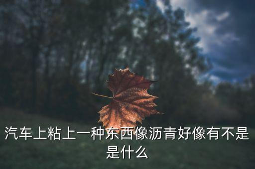 汽车上粘上一种东西像沥青好像有不是是什么