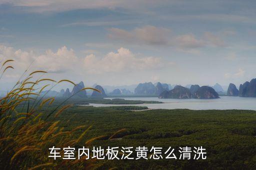 汽车洗内饰地板怎么洗干净，轿车内饰地板怎么清洗
