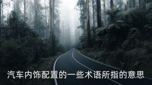 汽车内饰属于配置吗为什么，汽车内饰配置的一些术语所指的意思