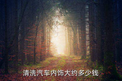 贡井汽车洗内饰多少钱，清洗汽车内饰一般多少钱