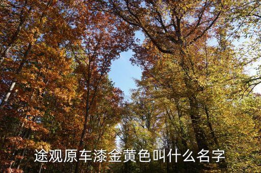 途观原车漆金黄色叫什么名字