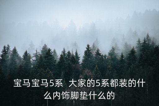 宝马宝马5系  大家的5系都装的什么内饰脚垫什么的