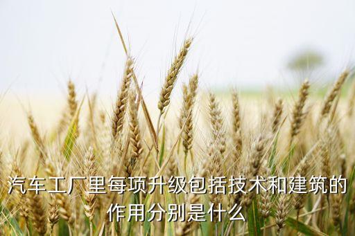 汽车工厂里每项升级包括技术和建筑的作用分别是什么