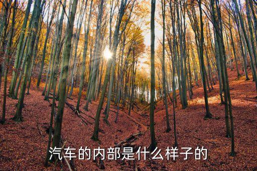 汽车内饰里面是什么样的，汽车的内部是什么样子的