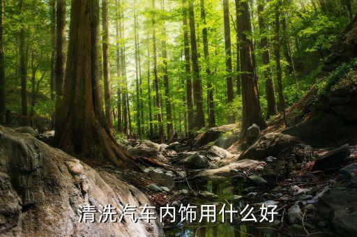 清洗汽车内饰用什么好