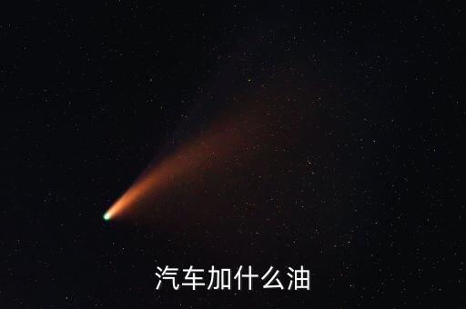 汽车加什么油