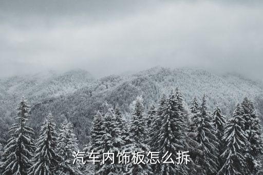 汽车内饰板怎么拆
