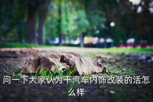 问一下大家认为干汽车内饰改装的活怎么样