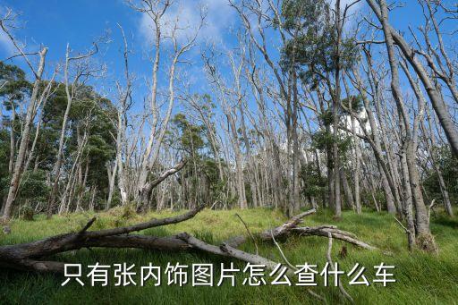 怎么依靠内饰识别汽车型号，车内饰判断车的型号请大神帮忙