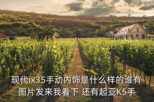 现代ix35手动内饰是什么样的谁有图片发来我看下 还有起亚K5手