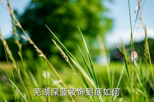 芜湖深蓝装饰到底如何