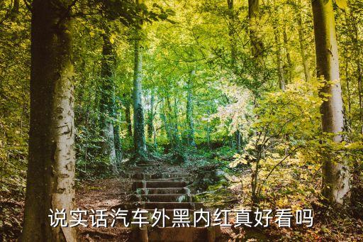 说实话汽车外黑内红真好看吗