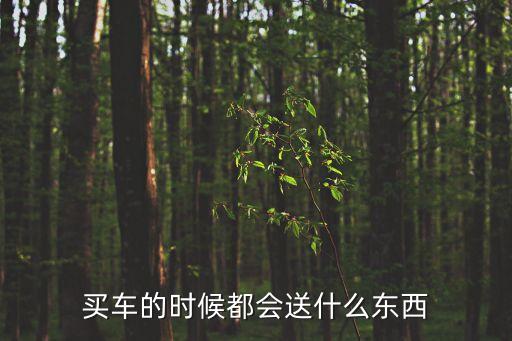 买车的时候都会送什么东西