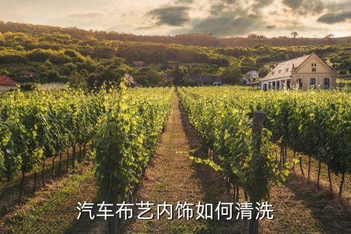 汽车布艺内饰如何清洗