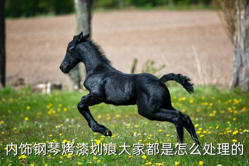 内饰钢琴烤漆划痕大家都是怎么处理的