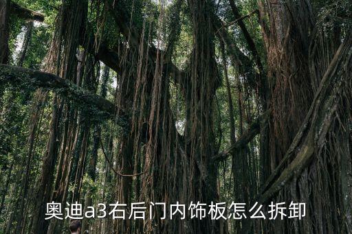 汽车侧后门怎么拆内饰，请问如何拆奇骏后门侧面内饰板是否可以硬拆谢谢
