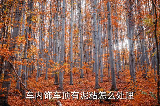 车内饰车顶有泥粘怎么处理