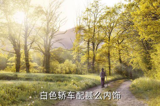 白色轿车配甚么内饰