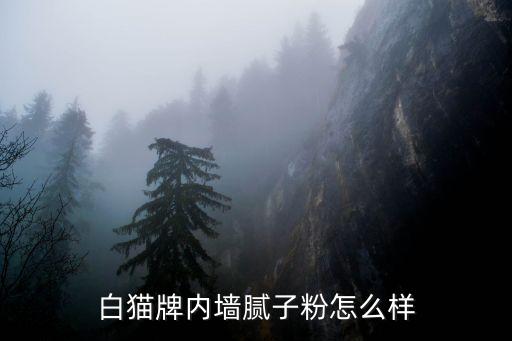 电动汽车白猫内饰怎么样，白猫牌内墙腻子粉怎么样