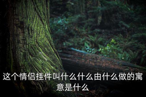 这个情侣挂件叫什么什么由什么做的寓意是什么