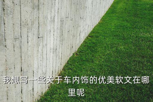 我想写一些关于车内饰的优美软文在哪里呢