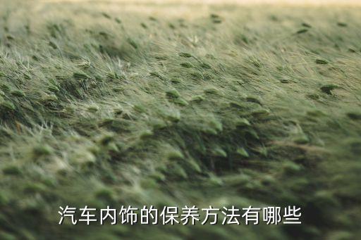 汽车内饰的保养方法有哪些