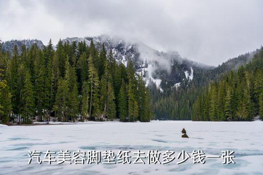 汽车美容内饰脚垫多少钱，一般一套汽车脚垫多少钱