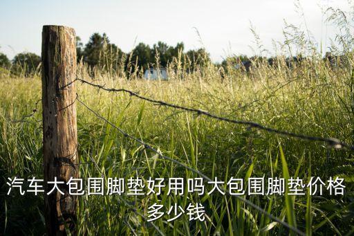 汽车大包围脚垫好用吗大包围脚垫价格多少钱