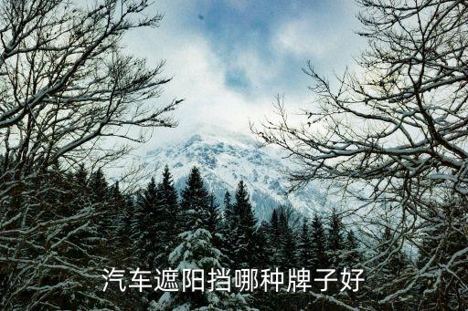 汽车遮阳挡哪种牌子好