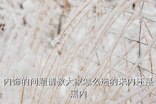 内饰的问题请教大家怎么选的米内还是黑内