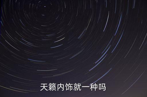 天籁内饰就一种吗