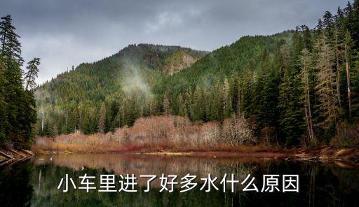 汽车内饰都是水什么原因，19宽速腾车内小储物盒全是水什么原因