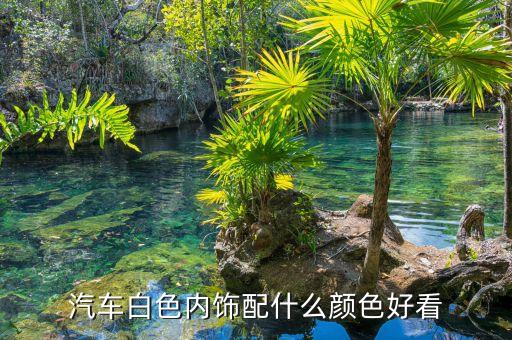 汽车白色内饰配什么颜色好看