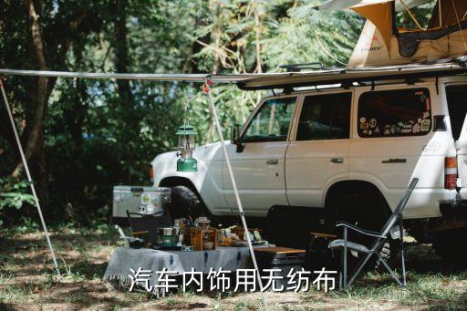 汽车内饰用无纺布