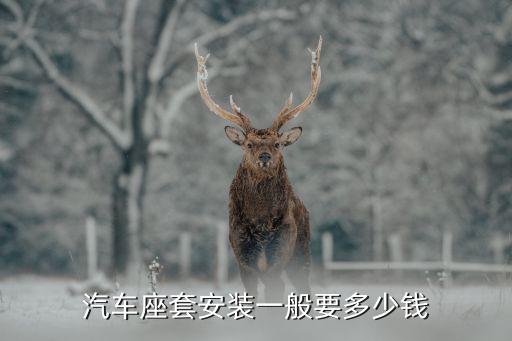 汽车座套安装一般要多少钱