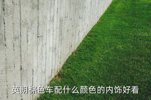 英朗棕色车配什么颜色的内饰好看