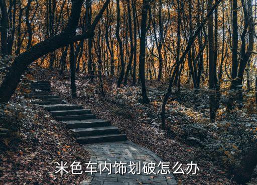 汽车米色内饰怎么修补方法，车内饰米色布一个小孔怎么修补