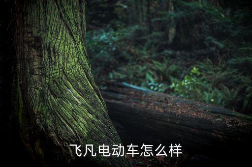 飞凡电动车怎么样