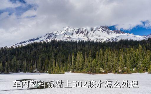 车内塑料板黏上502胶水怎么处理
