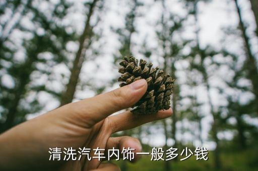 清洗汽车内饰一般多少钱