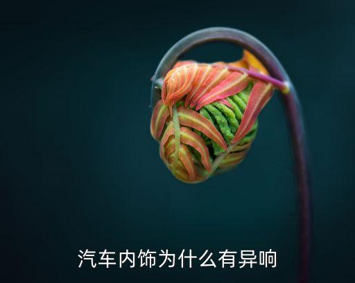 汽车内饰为什么有异响