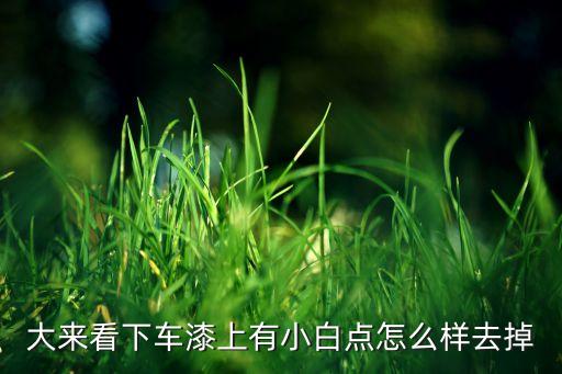 大来看下车漆上有小白点怎么样去掉